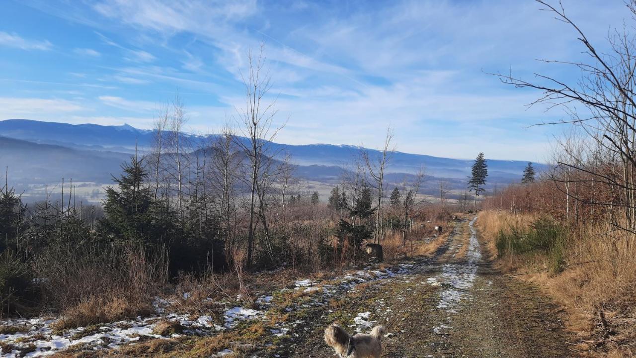 Noclegi Rozanka Radomierz Buitenkant foto